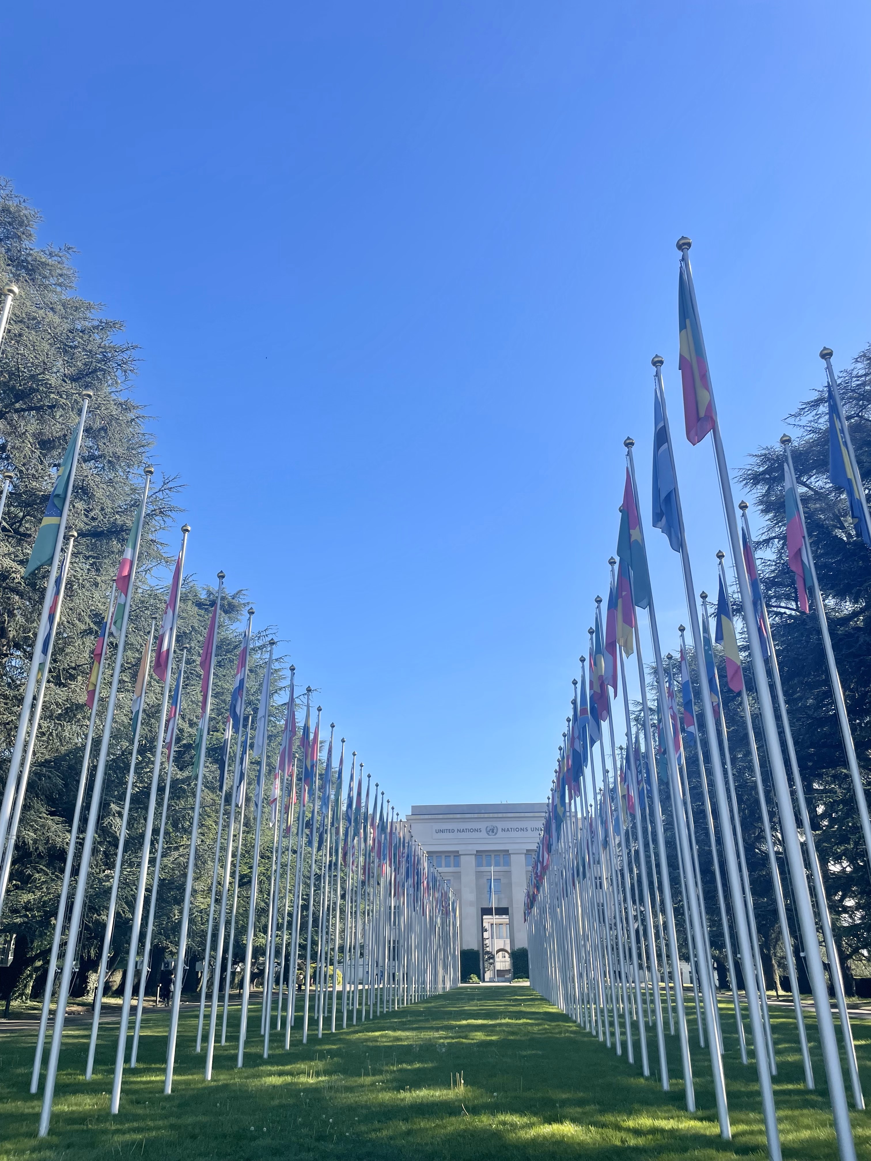 Learning in a Different Way