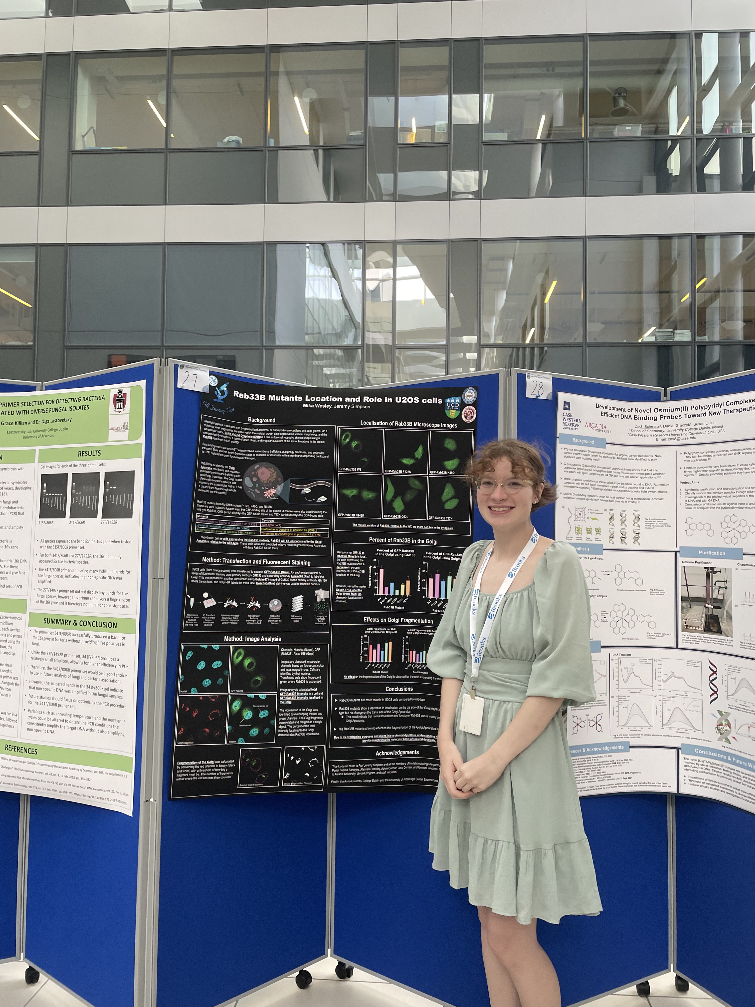 Embracing Diversity and Discovery in Dublin