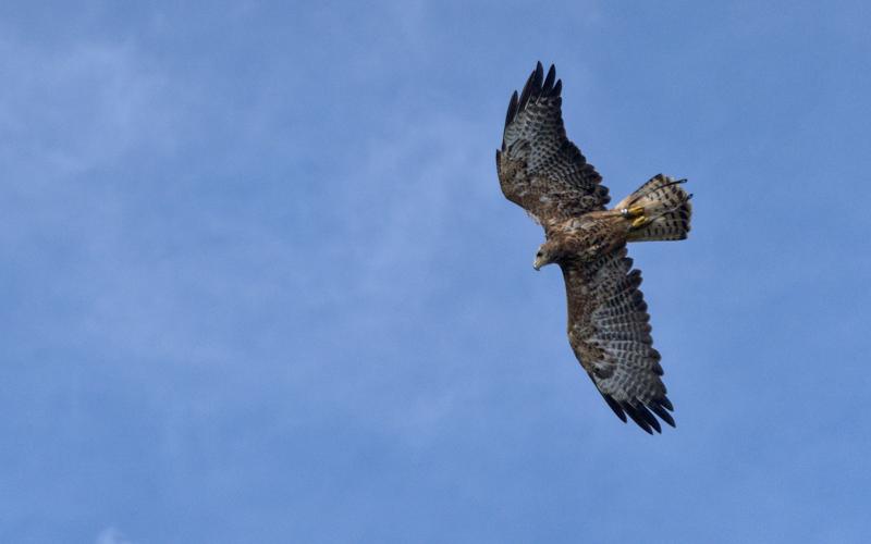 Staying at St. Sebastian