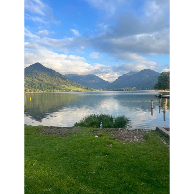 Learning to Navigate International Travel Alone