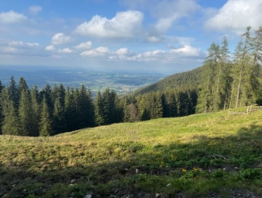 Getting to Know Germany