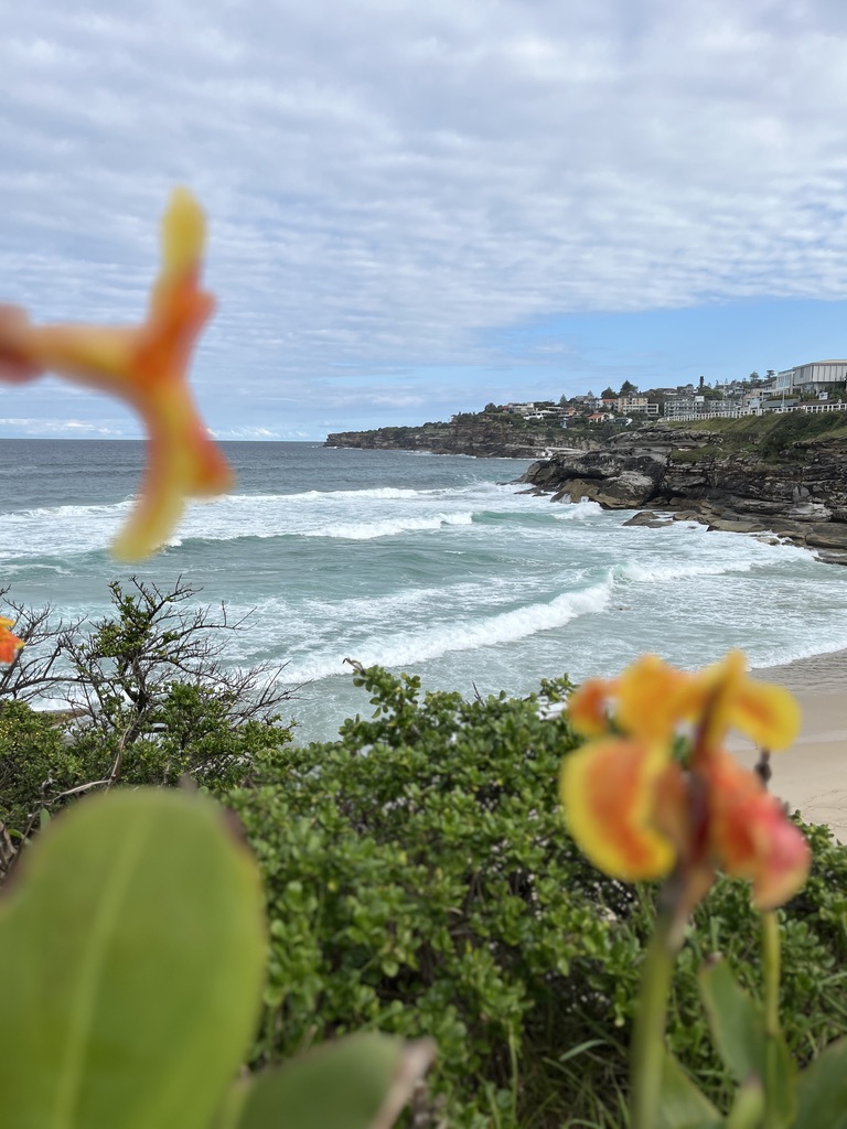 Advice from a GBI: Sydney Student