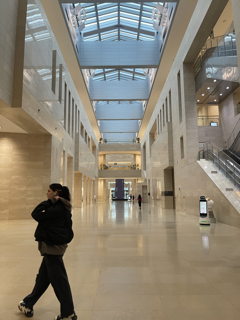 Exploring Seoul for a Semester