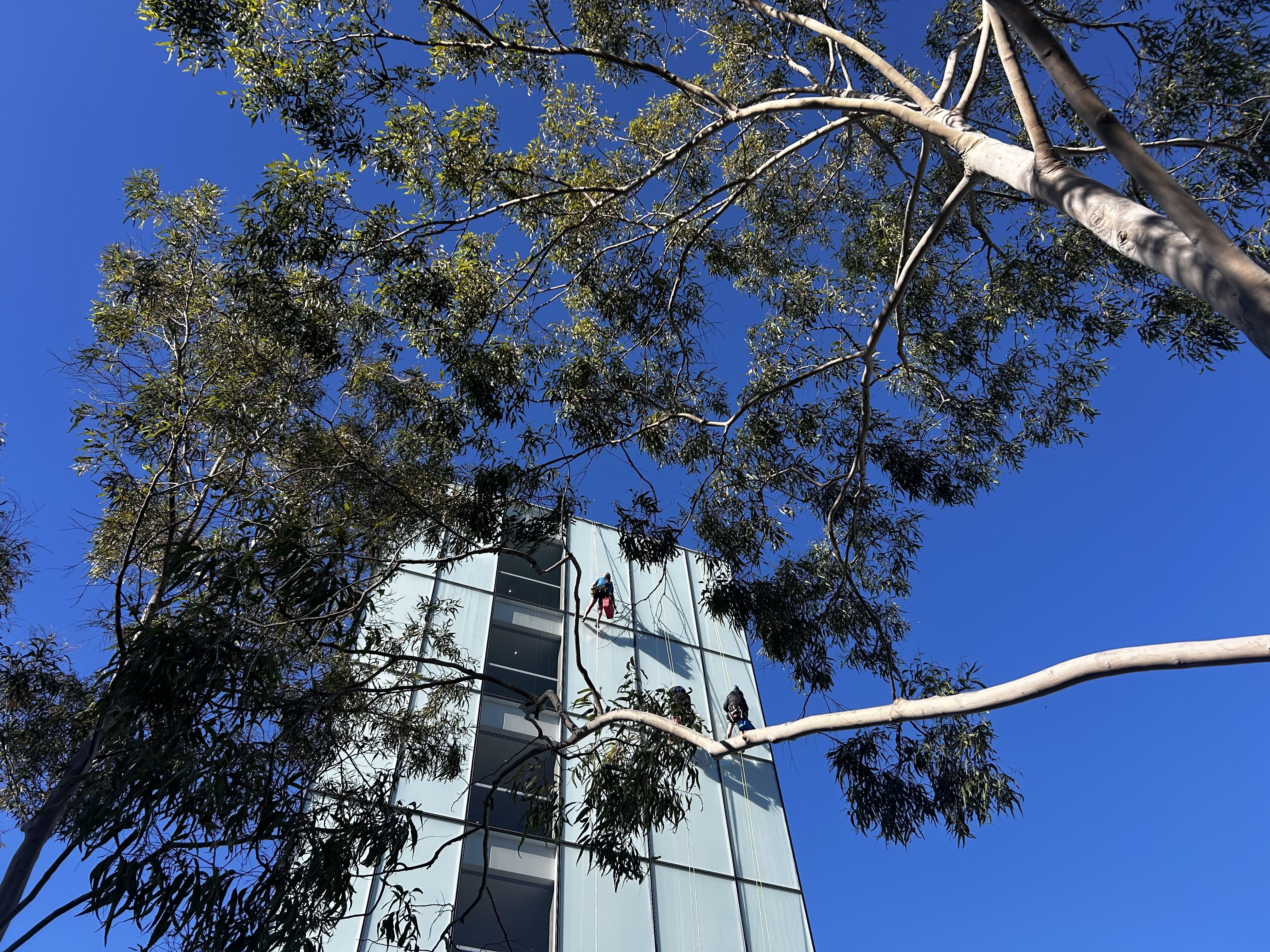 Zetland: My Home in Sydney