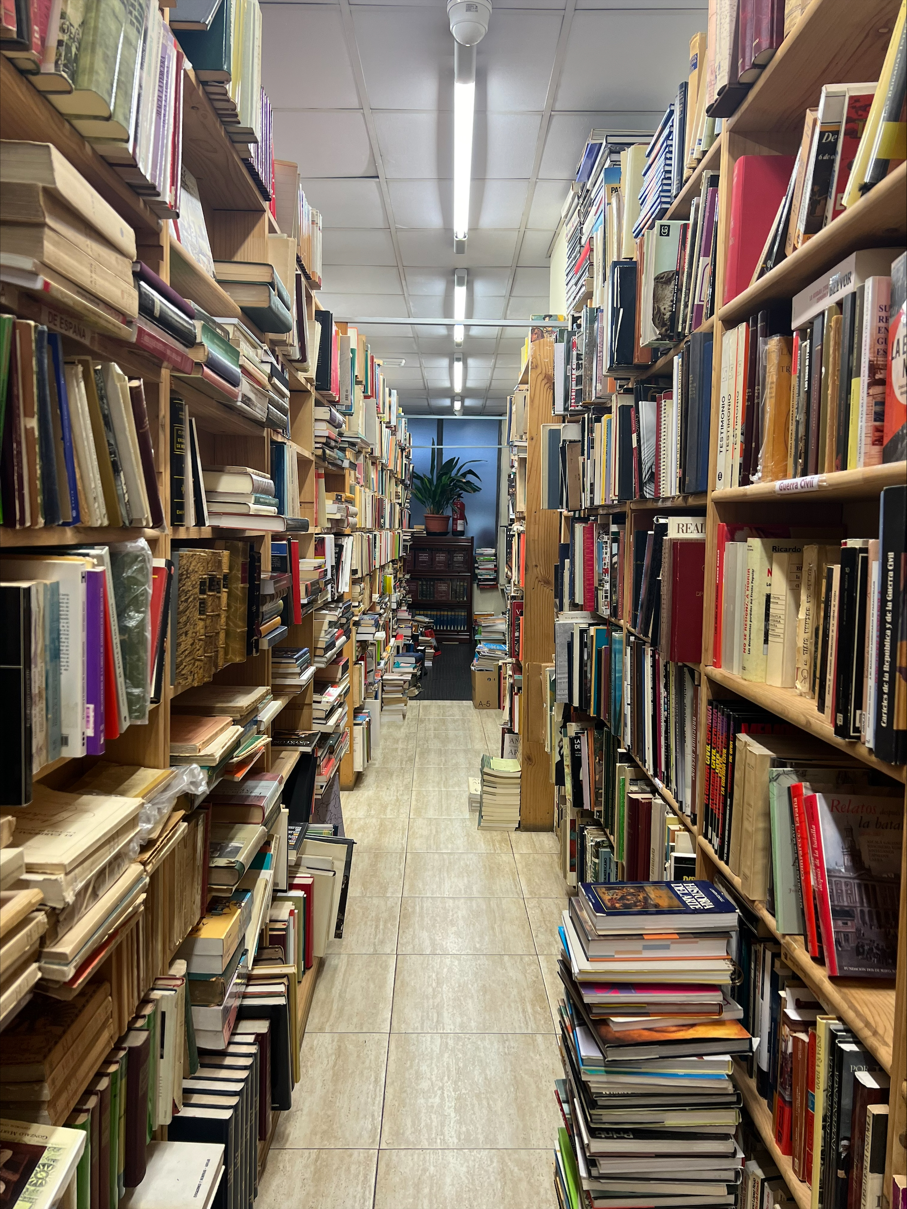 Adapting to a New Academic System